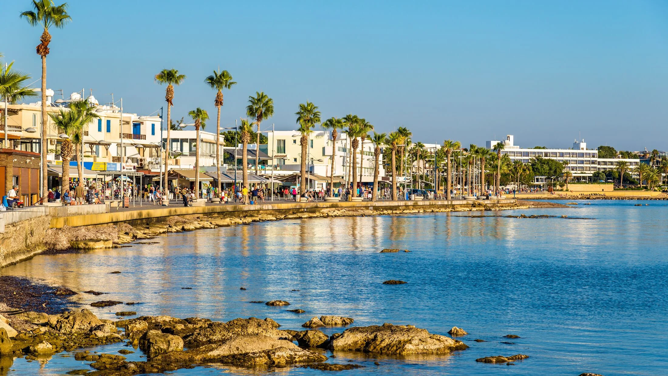 Palm-lined Paphos harbour promenade at golden hour